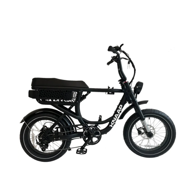 Fatbike Électrique KNAAP BCN