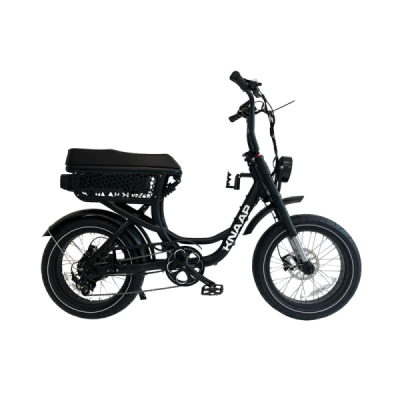 Fatbike Électrique KNAAP LON